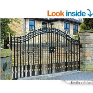 False Accussations COver